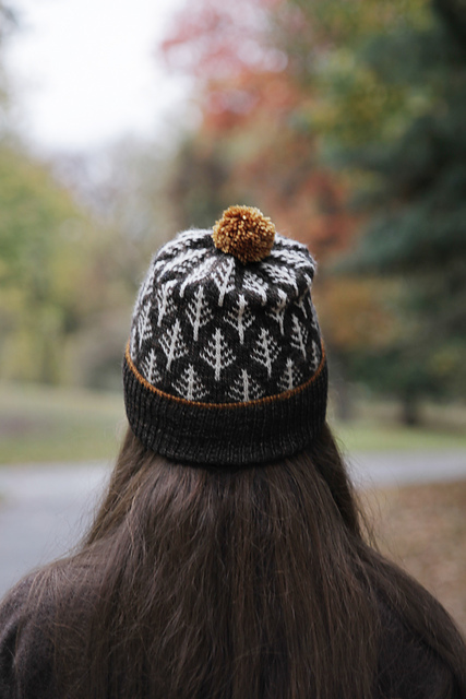 https://www.ravelry.com/patterns/library/deep-woods-toque